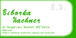 biborka wachner business card
